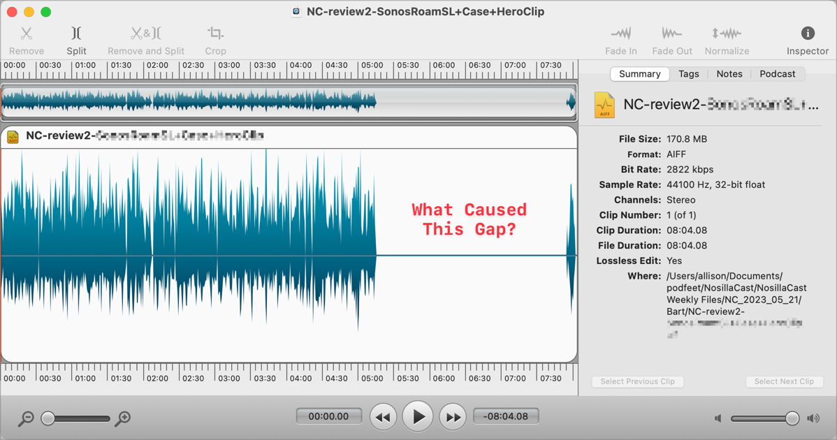 Second audio file open in Fission showing the dead silence in the audio.png Second audio file open in Fission showing the dead silence in the audio