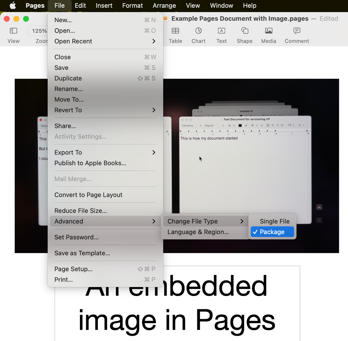 Pages Change File Type to Package