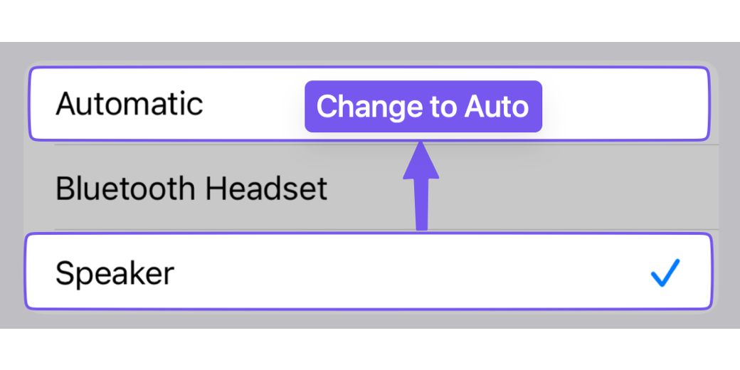 Change Speaker to Automatic as explained in the article