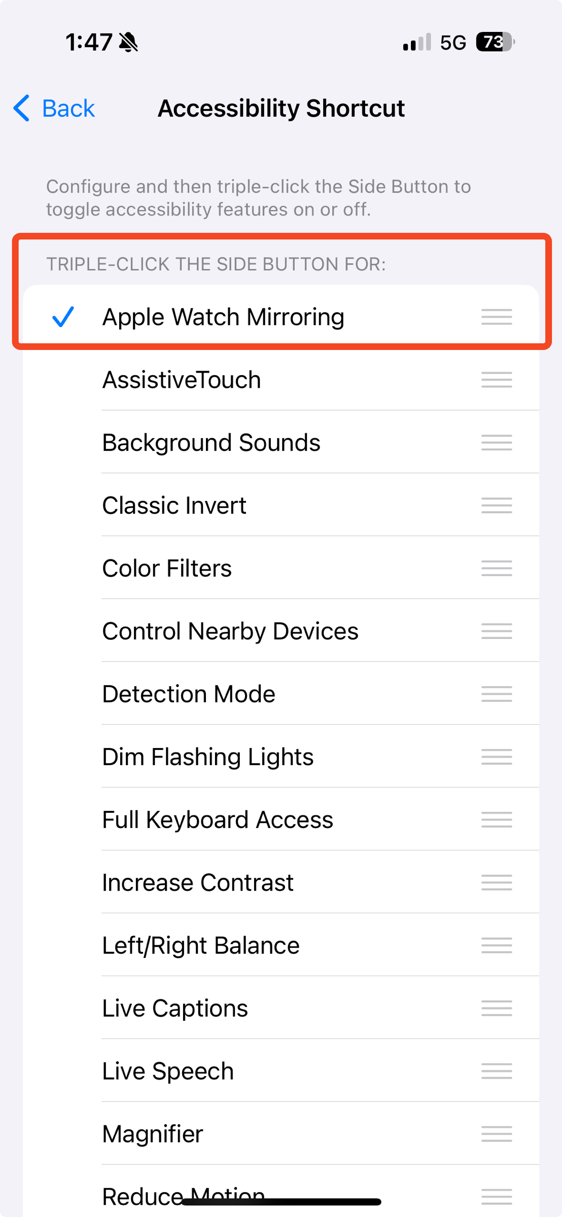 Accessibility Shortcut Highlighting Screen Mirroring
