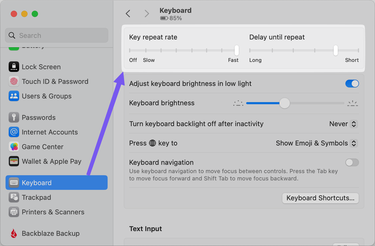 System Settings  keyboard key repeat rate