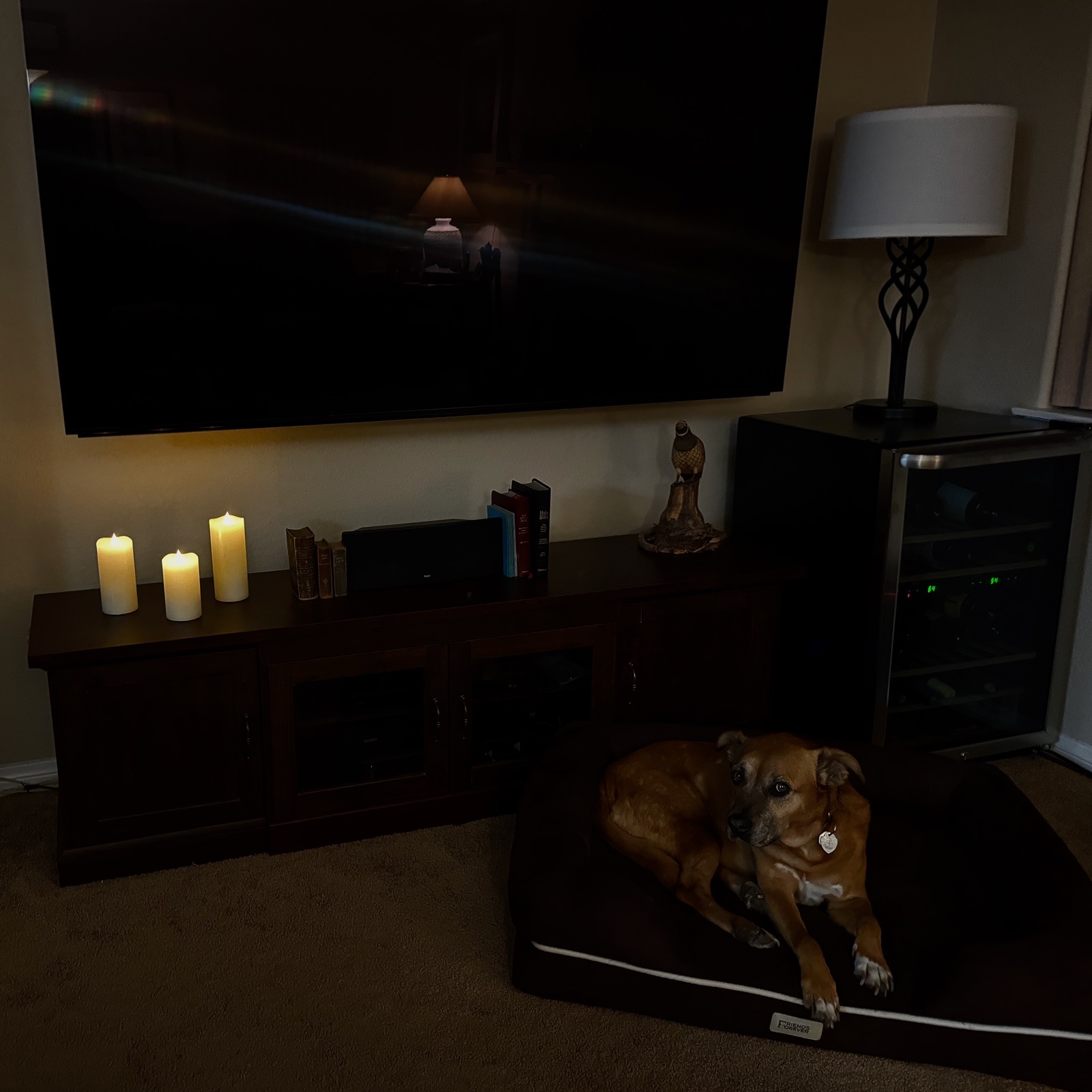 TECHLONG LED candles glowing on table below a large TV. a large brown dog named Tesla is on a dog bed in the foreground. The room has a warm, cozy glow.