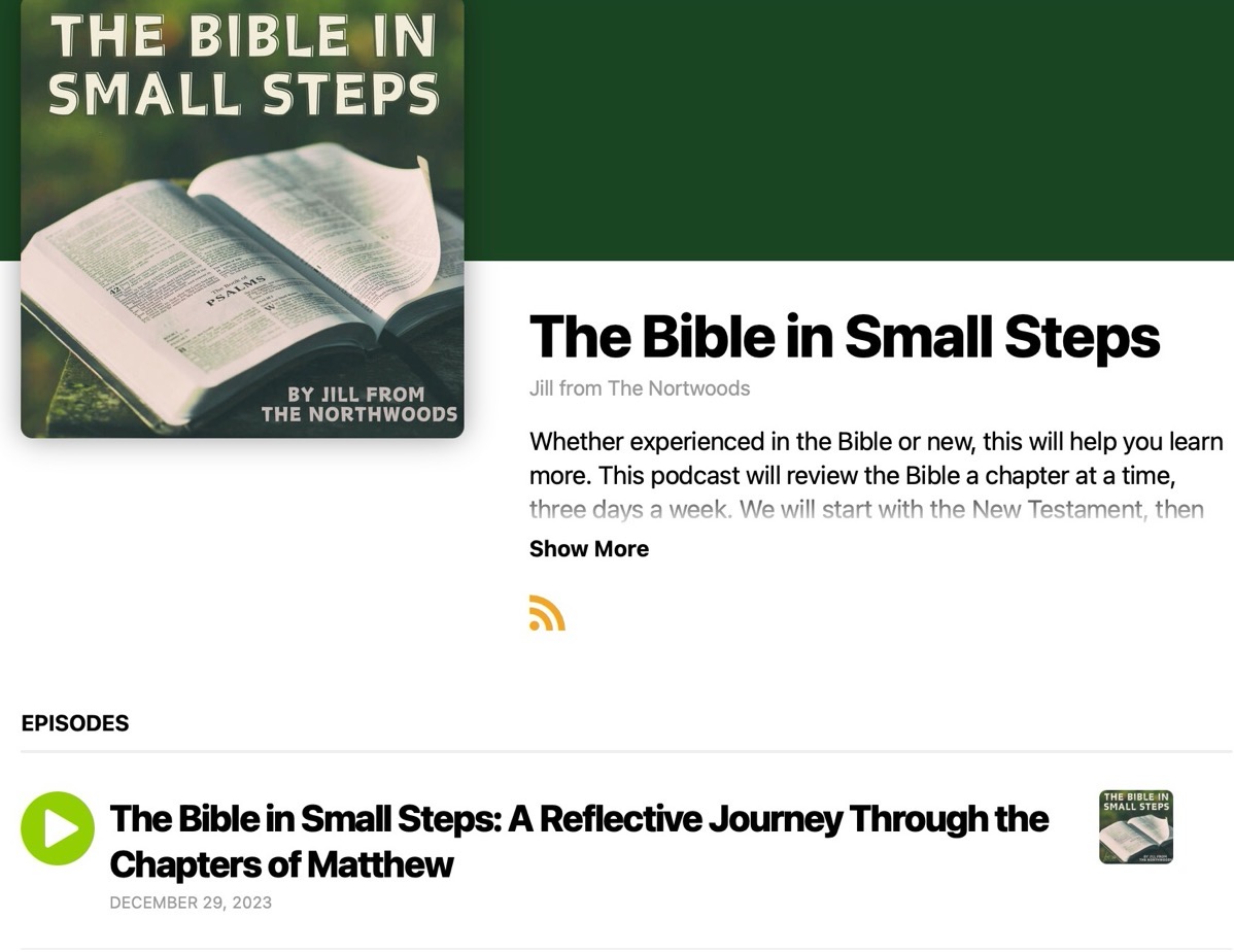 The Bible in Small Steps website as designed by Buzzsprout. shows logo, title, exerpt and an audio player at the bottom.