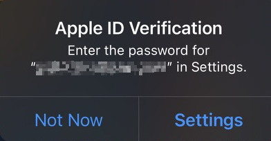 Apple ID Verification on Ryans phone.