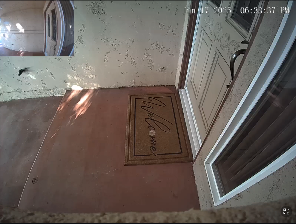 Eufy of package delivery area with PIP of person view.png Eufy of package delivery area with PIP of person view.