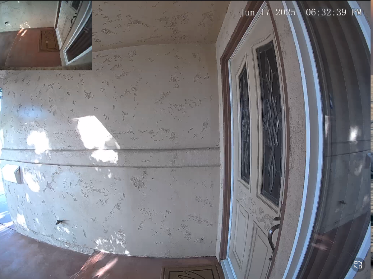 Eufy person view with picture in picture of package delivery area.png Eufy person view with picture in picture of package delivery area.