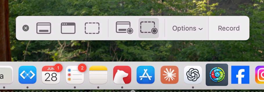 Screenshot app using built in screen sharing.