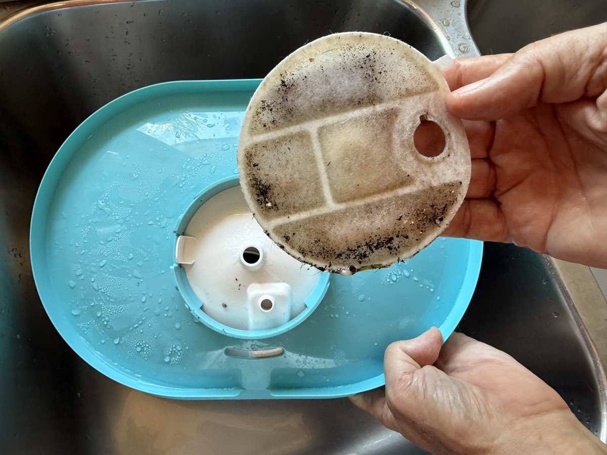 PETLIBRO dirty filter after 2 weeks.