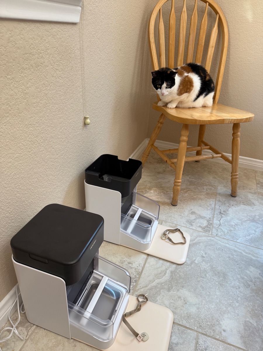 The two RFID feeders with RFID collars during setup with cat Ada watching with intense anticipation on a chair nearby.