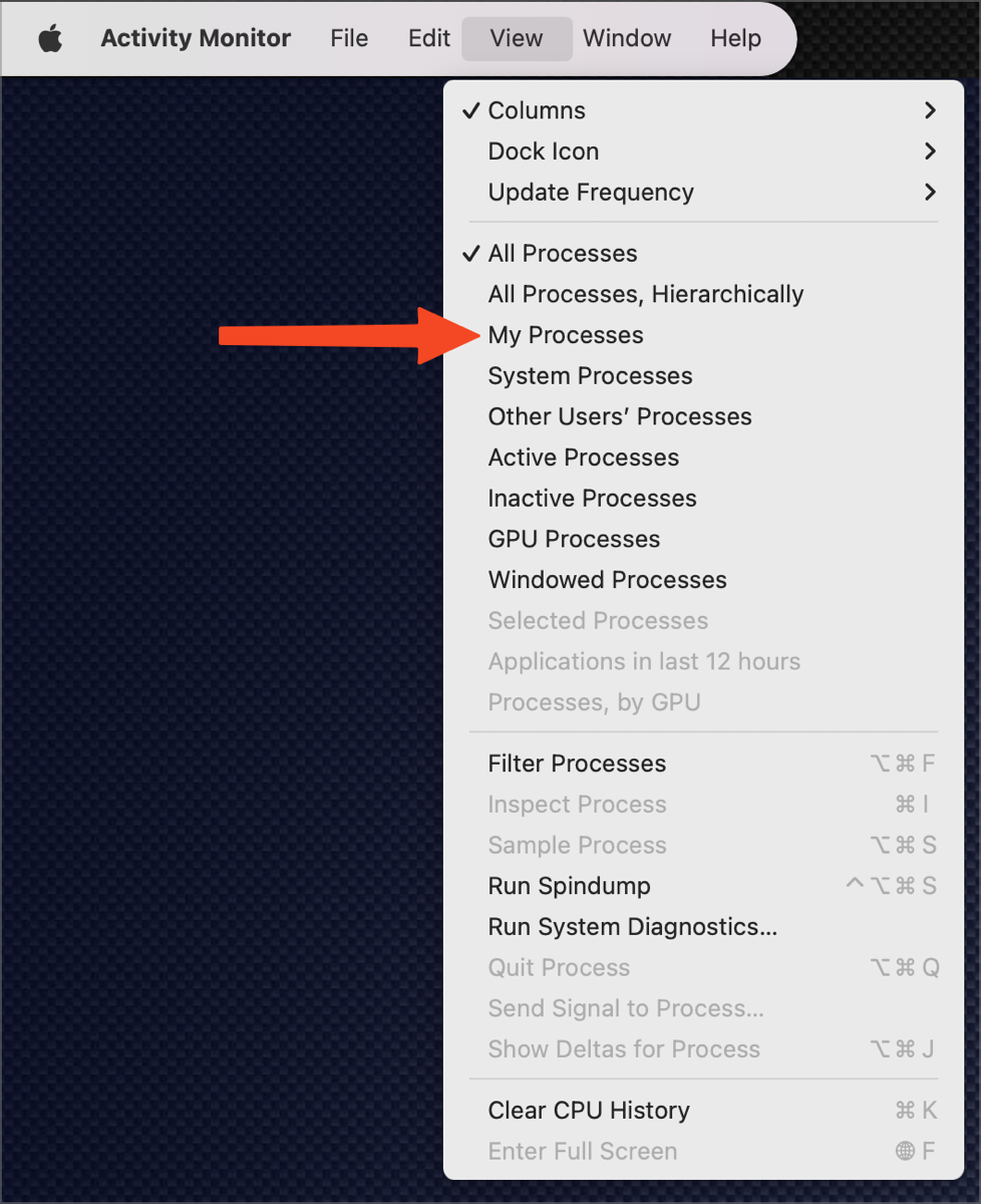Activity Monitor View Menu pointing at My Processes.