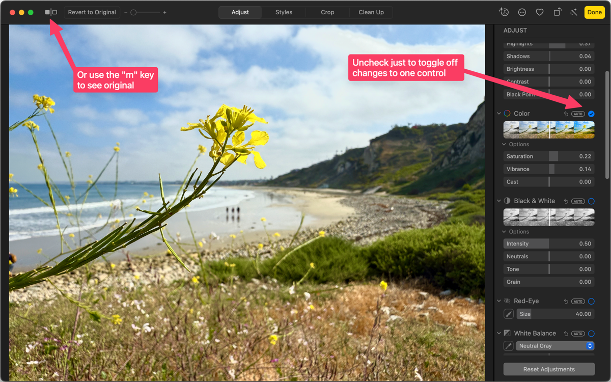 Apple Photos button to toggle originall and arrow to toggle off just one control.
