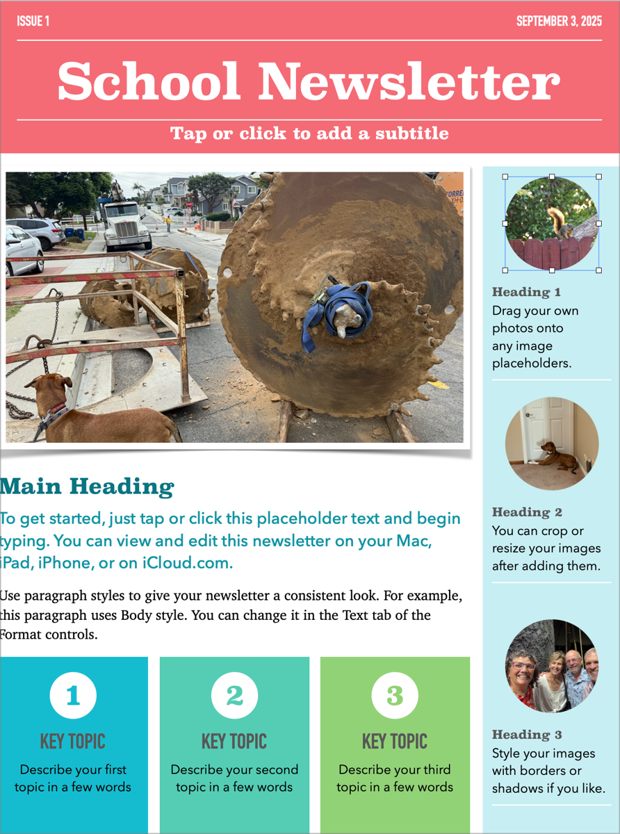 Newsletter with all image replaced with random ones of mine.