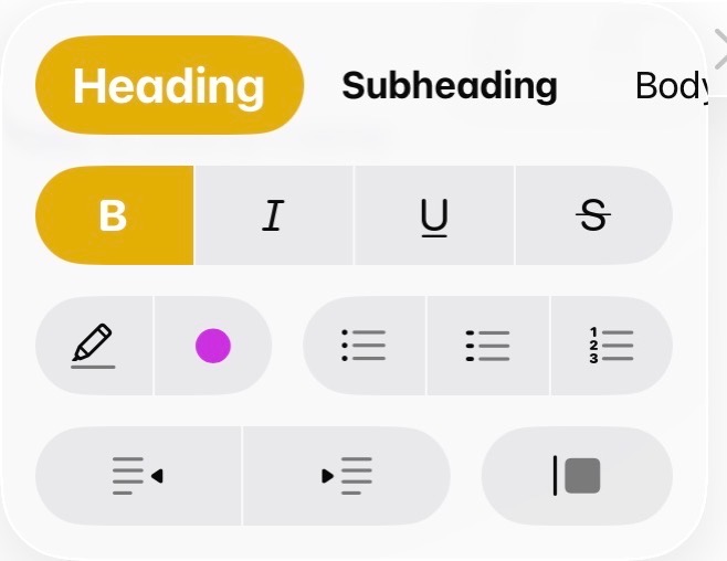 Aa Menu Showing many formatting options with heading and bold selected.