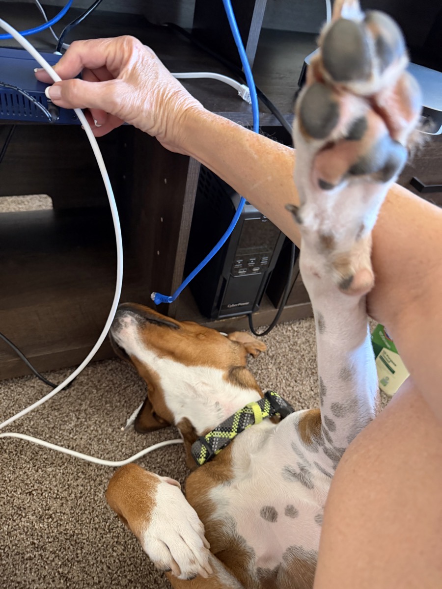 Kepler helping me plug things back in in Lindsays room. He is totally in the way abut he is so sweet I let him bother me like this.