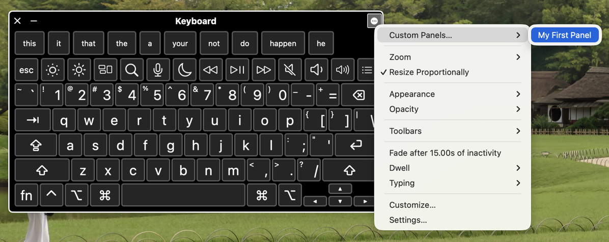 Custom panels are available from 3-dot menu on Keyboard Viewer Accessibility keyboard.