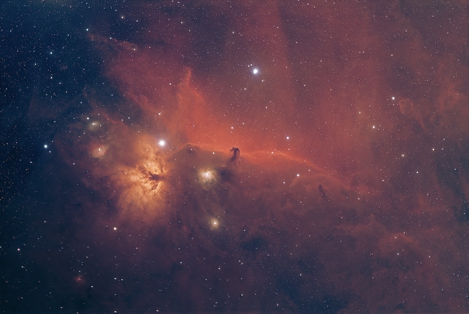 Horsehead and Flame Nebulas.