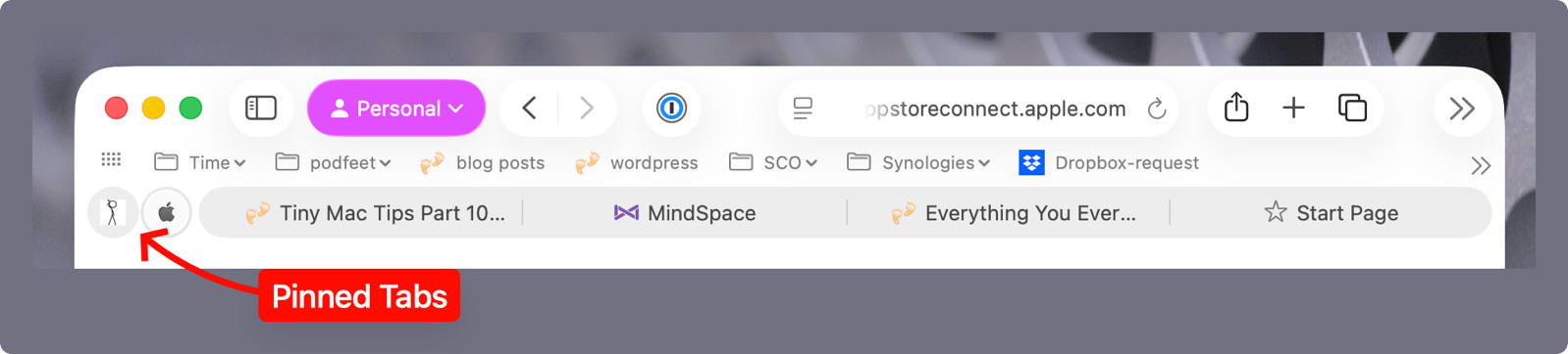 Pinned tabs in safari shown as little circle favicons.