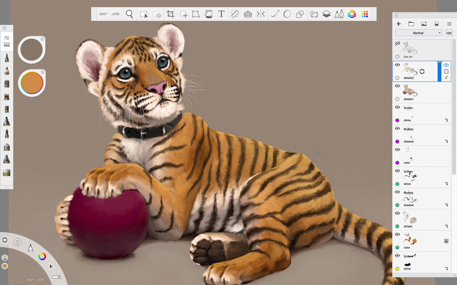 monika-tiger-cub-clippingmask.png baby tiger playing with a red ball shown in Sketch book with controls on both sides and the top of the image