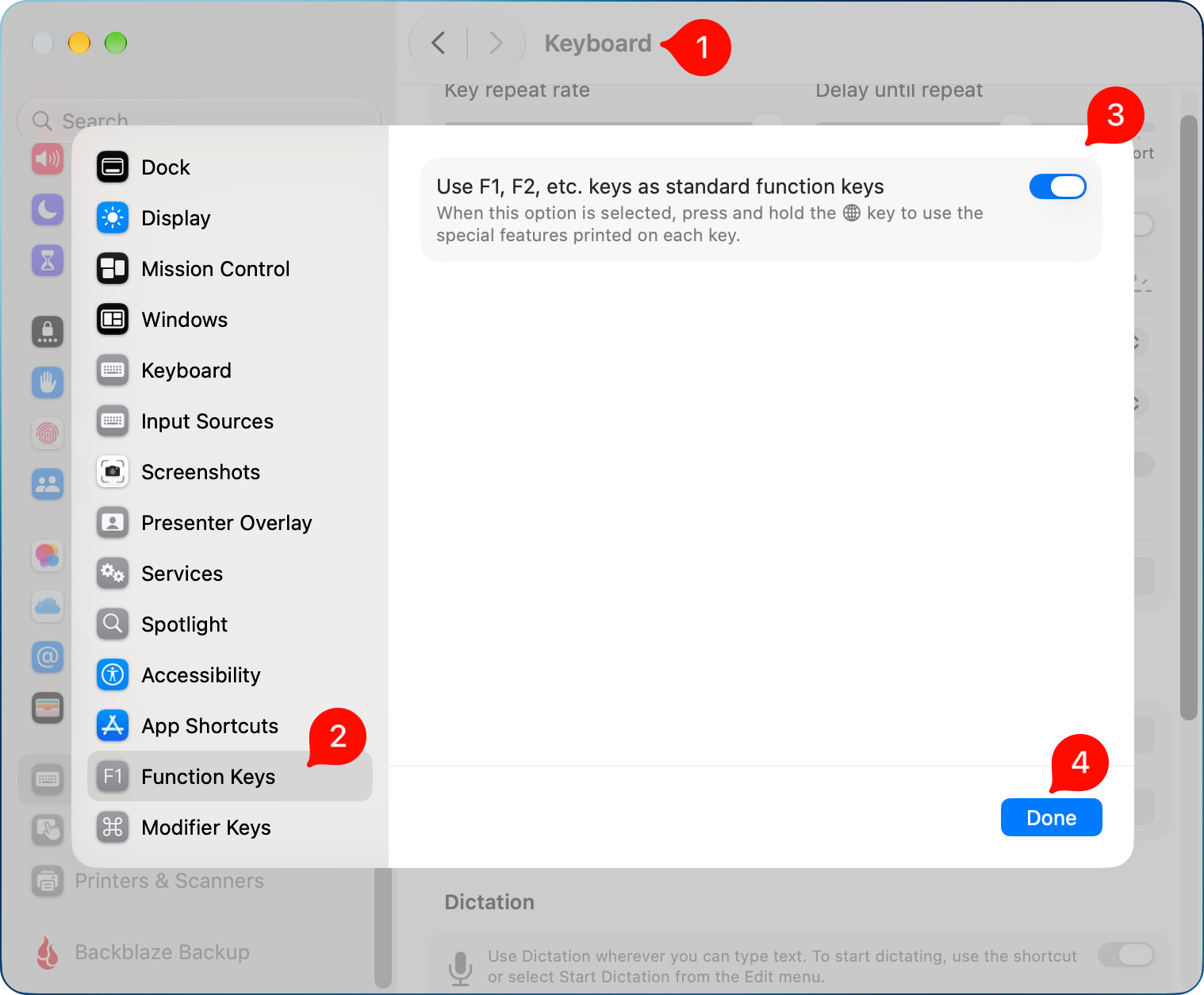 Enable use Function keys as standard function keys in System Settings.png Enable use Function keys as standard function keys in System Settings.
